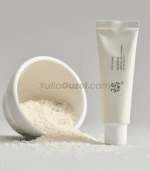 واقي شمس كوري بالأرز والبروبيوتيك – Beauty of Joseon SPF50+